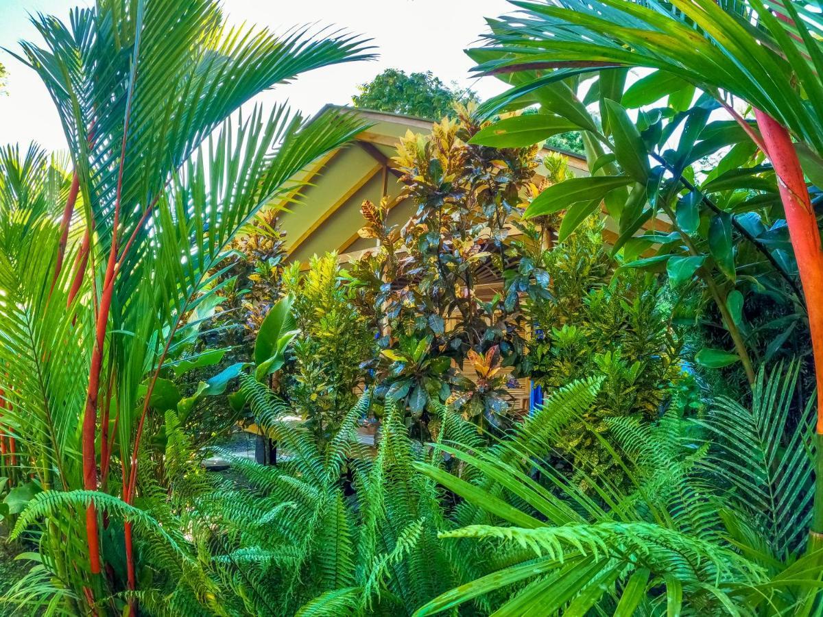 Relax Natural Village Adults Only Puerto Viejo de Talamanca Εξωτερικό φωτογραφία