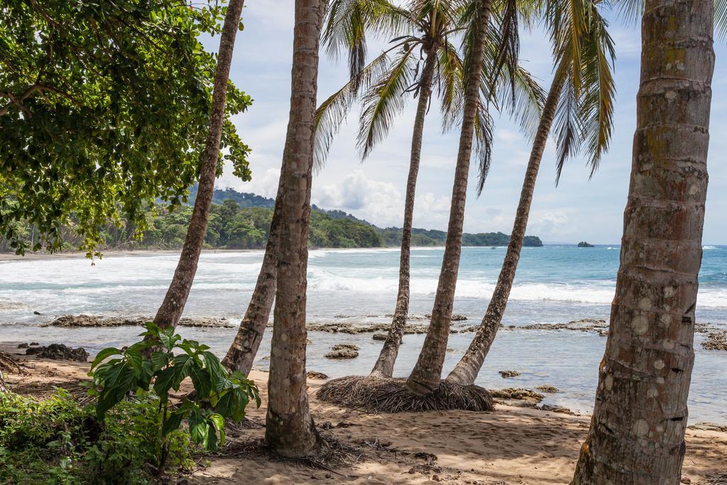 Relax Natural Village Adults Only Puerto Viejo de Talamanca Εξωτερικό φωτογραφία