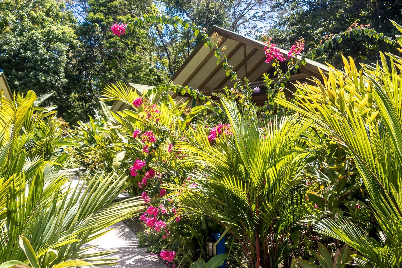 Relax Natural Village Adults Only Puerto Viejo de Talamanca Εξωτερικό φωτογραφία